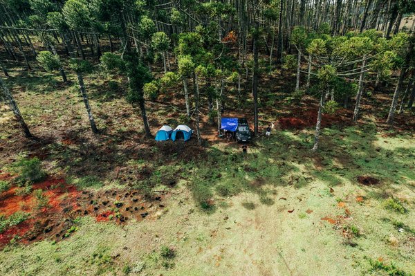 Quels sont les meilleurs endroits pour des randonnées à cheval économiques dans les montagnes Rocheuses ?