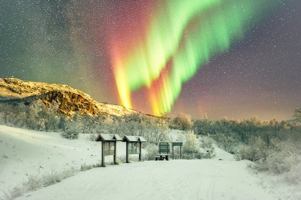 Quelles sont les meilleures pratiques pour une observation des étoiles dans le parc national de Joshua Tree, Californie ?